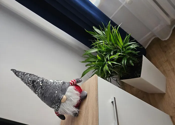 Apartamenty Koktajlove